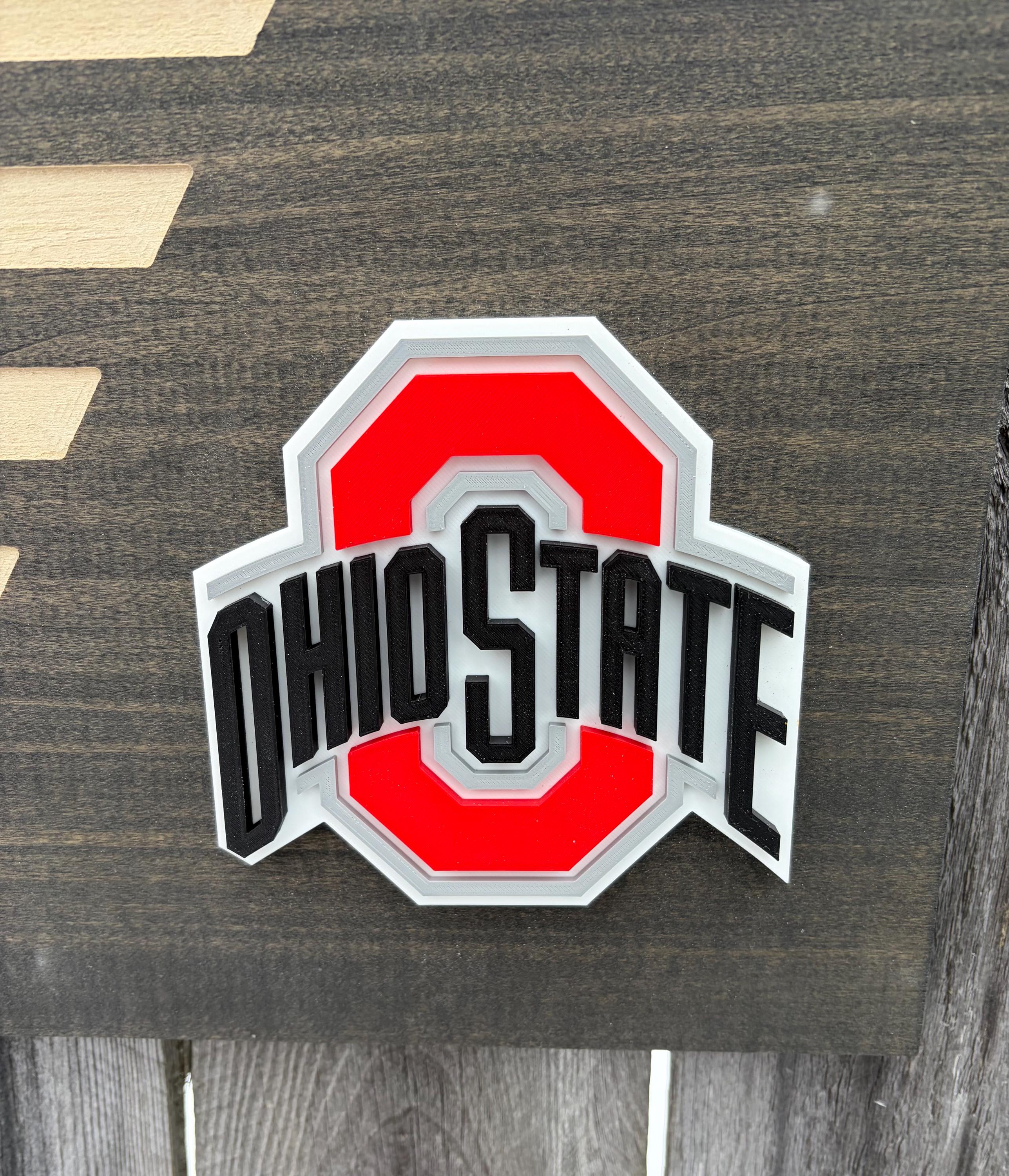 3D Ohio State Buckeyes Flag